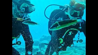 Cyprus diving 2024 - Green Bay, MUSAN museum, M/S Zenobia. Max depth 32 m./ 28% Nitrox PPO2 1.4 ATA