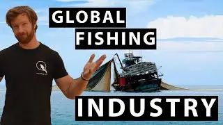 GLOBAL OVERFISHING - The impacts of the growth of the Fishing Industry and the damage to the OCEANS!