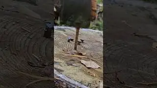 Забивание гвоздей обухом 