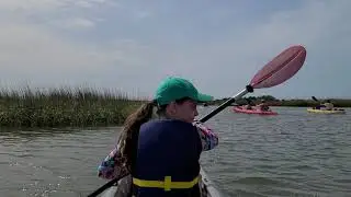 Aqua 911 terrapin release at Grice Marine Lab