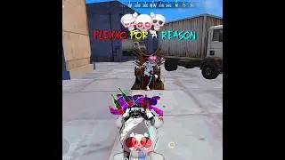 #hamukaka