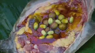 Attacked By Parasitic Leeches - Cross The Swamp And Return To The Pets - Survival Skills - New Life