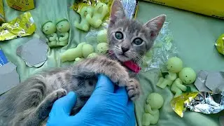 Smiski Smday! Выпуск 11! Серия BED, полный кейс! Милые кошечки и редкий секрет!