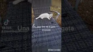 Resumen de mis vacaciones (completo verano 2022 )