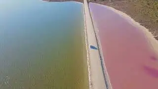Pink Lake magic: nature's stunning transformation at Lake MacDonnell