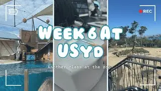 Week 6 of classes! Almost at the mid-semester break