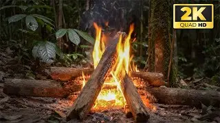Дневной костер в пышных джунглях | Успокаивающие звуки огня для учебы и отдыха