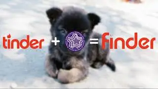 pet finder oficial