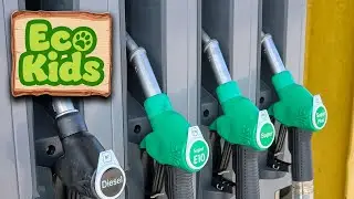 Positive Uses of Ethanol Fuel | Eco-Kids (17-Minute Documentary on Earth for Kids!)