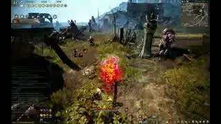 Black Desert Online Maegu PVE Stars End