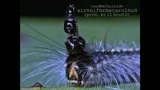 zodd the immortal - sireniformstarcloud[feat. stranded](prod. by il brutto)