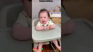 Finding it challenging to feed your baby? Feeding High Chairs for Babies can make a difference!