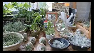 Seed to Stem: Small Tour and Haul
