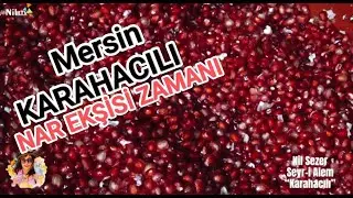 Karahacılı Köyünde Odun Ateşinde Kazanlarda Geleneksel Narekşisi Yapımı, Nil Sezer Özel Haberi