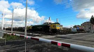 Pociąg Class 66 66013 FPL [stacja Lubin]