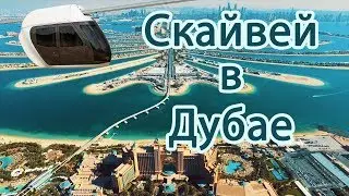 Выставка Future Cities Show  в Дубае 2018 атмосфера события
