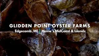MidCoast Maine Series: Glidden Point Oyster Farms