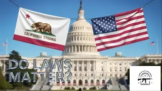 The Impact of Gun Control on Crime Rate 2