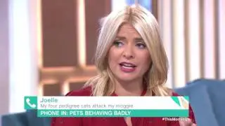 My Four Pedigree Cats Attack My Moggy | This Morning