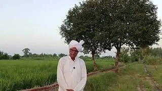 पहले की विधवा बहु और आज की विधवा बहु मे क्यों हो गया अंतर संस्कारों में कमी आई या पसचमी सभत्या छाई 