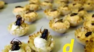 Dangerous over Than Death - Scorpion's Tale-Animals Documentary