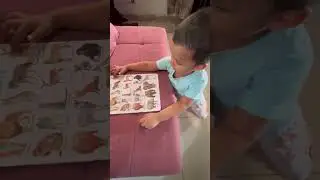 Medhu learning wild animals 🦁 🐅 🦒 😁#baby #babylearning #cutebaby #study #animals #wildanimals