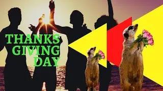 Thanksgiving Day Ads | How to create Thanks giving day ads | Special Thanks Ad | Tanksful Day