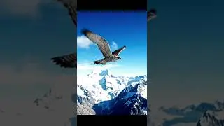 Falcon Flight Intelligence | How Wind Alignment Beats Power and AI Models