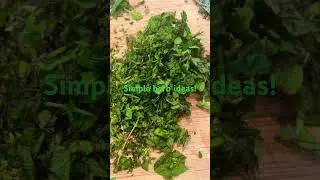 Got herbs? #garden #simpleherbideas#fiber#protien#herbs#fresh#herbrecipes#healthy#nutrition
