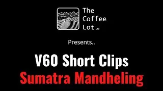 V60 Shorts ~ Sumatra Mandheling