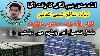 eggs  wholesale business  small investment big  profit|| egg cold Store#egg #eggmarket