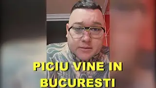 MARIAN PICIU VINE LA BUCURESTI INTALNIRE CU LEU DE LA TIMISOARA