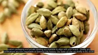 Flavour Enhancers in the Food Industry: Elevating Culinary Experiences