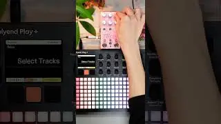 Crafting Ambient Textures with Simple Setup｜Polyend Play+, Chase Bliss Lossy　#shorts