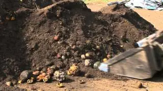 Veteran Compost
