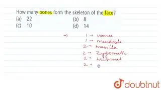 How many bones from the skeleton of the face ?