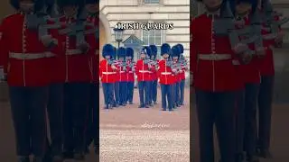 During Captain&rsquo;s inspection 17/04/25 #irishguards #captainsinspection #buckinghampalace #london