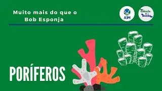 Poríferos