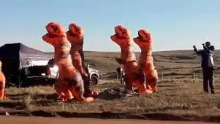 Dino rally