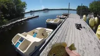 GIANT Sunfish On Beds