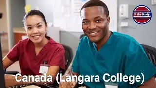 The Langara College Post-Degree Diploma in Nursing Practice in Canada (PDD NPIC) . Apply Today '25.