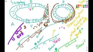 Dros Dorsal Ventral drawing assignment, Part Two, BIO305, Developmental Biology, David Champlin, USM