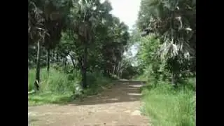 On Safari in Pendjari National Park in northern Benin.AVI