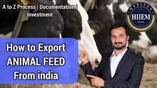 How to Export Cattle feed,Animal Feed from india | A to Z Process, Documentation, By Sagar Agravat