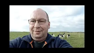 Die schönste Zeit im Jahr für unsere Böcke bei den Dorperschafen im Westerwald