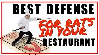 Orlando Restaurant Rat Removal, Signs, Screen Door, Storage, Holes, Customer Saw Rat, Orlando Area