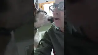 Dio@Creo' il cane per donare un amico all'uomo.👏🐶
