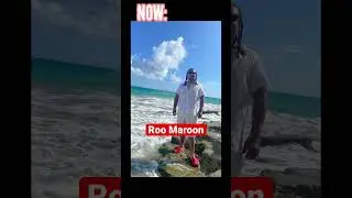 Subscribe Roo Maroon