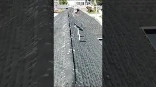 Check out this roof that needs some serious cleaning from bird droppings! 🧹
