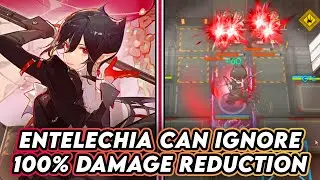 Entelechia And 100% Damage Reduction | Arknights
